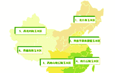 玉米种植多的省份