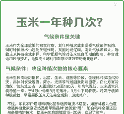 玉米种植与气候条件