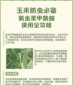 玉米种植怎么防虫子