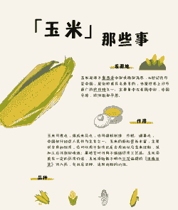 玉米种植方面的书籍