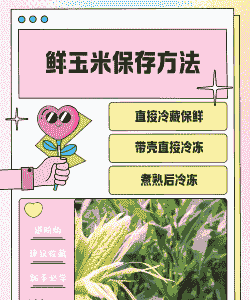 玉米种植保存方法