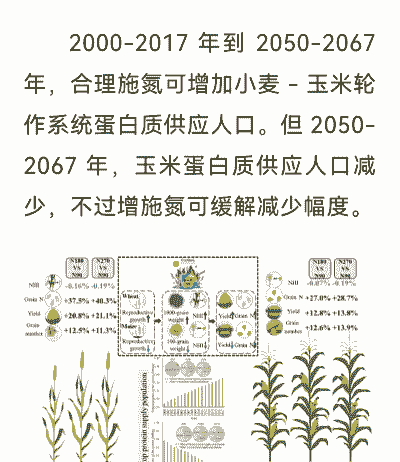 玉米种植调减的原因