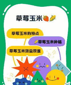 草莓玉米种植方法教程