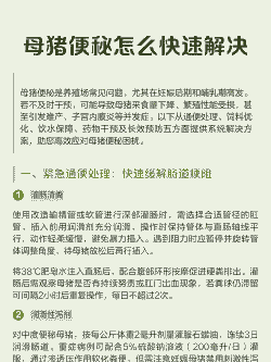 怎样给产后母猪通便