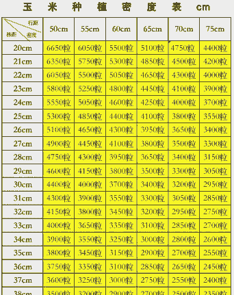 玉米种植行距株距多少