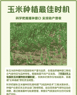 北方玉米种植几季节
