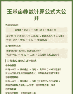 玉米种植计算公式