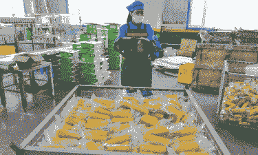 玉米种植生产厂商