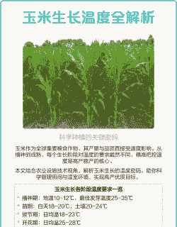 山东玉米种植温度要求
