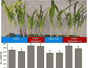 玉米种植土地ph值