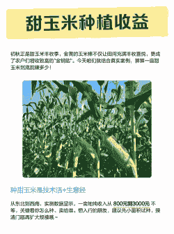 甜玉米种植挣钱吗