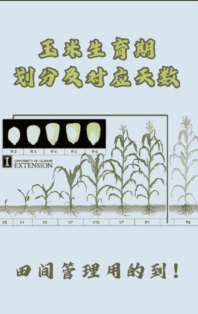 玉米种植高产技术要求