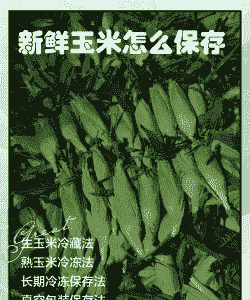 玉米种植后怎么保存
