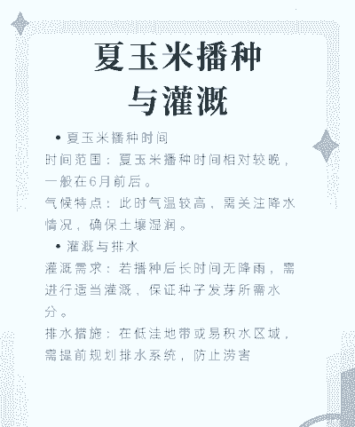 玉米种植成熟时间多久