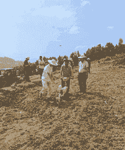 山上种玉米种植技术