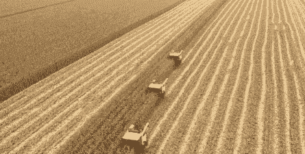 郾城区玉米种植面积