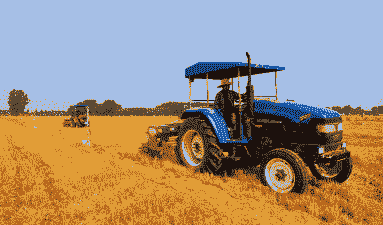 河北涞水玉米种植面积