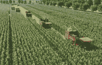 万亩玉米种植成本