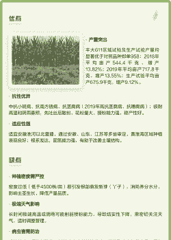 玉米种植优点和缺点