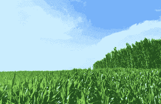 天津有名玉米种植基地