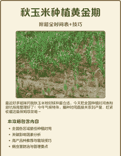 秋季节玉米种植时间
