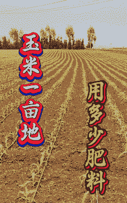 玉米种植放多少化肥