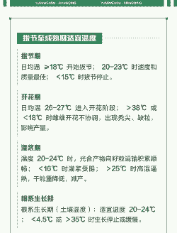 玉米种植最适宜温度