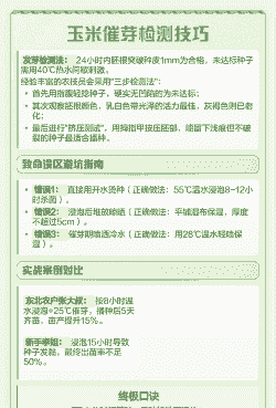 浸泡玉米种种植多久