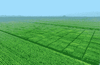 陕西最好玉米种植基地