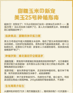 甜糯玉米种植妙招