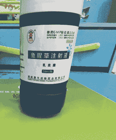 母猪产后用什么食物消炎