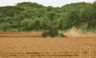 春播玉米种植最佳季节