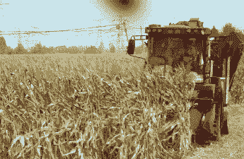 河南玉米种植收获时期