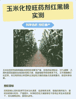 玉米种植控旺用药