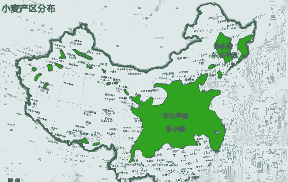 水稻和玉米种植区域