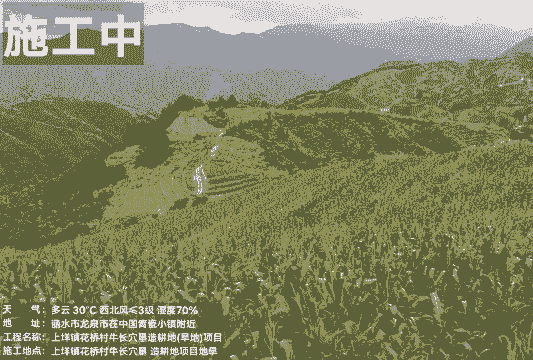 陇南水稻玉米种植面积