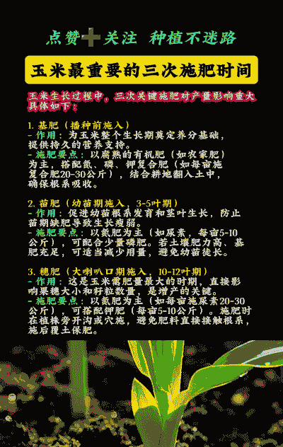 玉米种植施肥几次合适