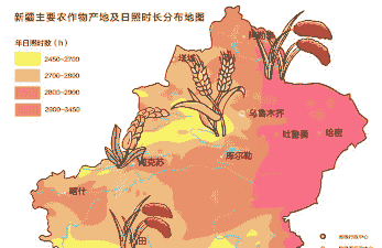 吐鲁番玉米种植区域划分