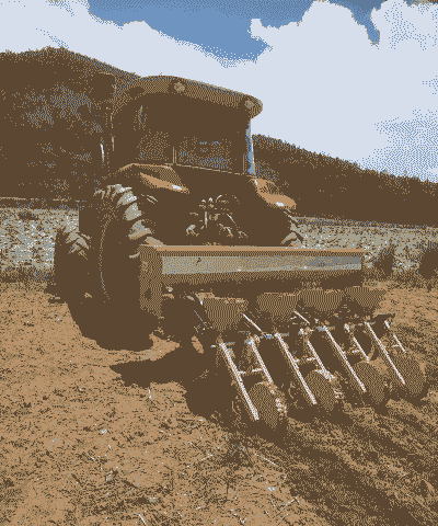 青贮玉米种植怎么施肥