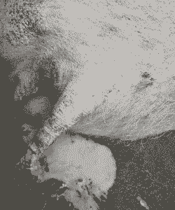 母猪产后异常分泌物