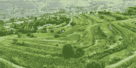 隆德玉米种植面积多大