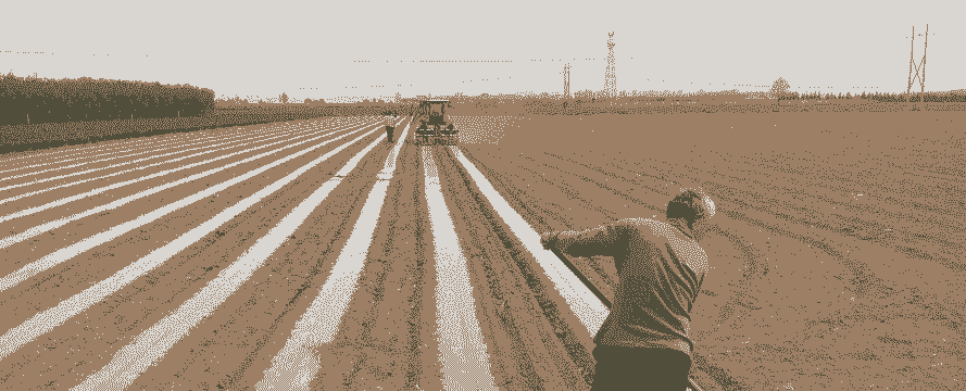 地膜种玉米种植技术