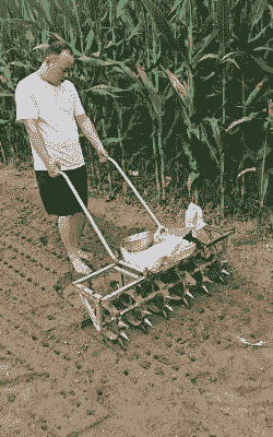 玉米种植可以犁地吗