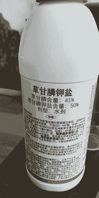 玉米种植草甘膦