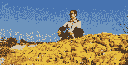 陕北淳化玉米种植面积