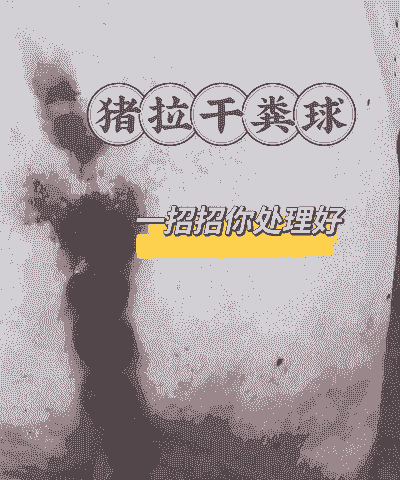 母猪产后不精神不吃食