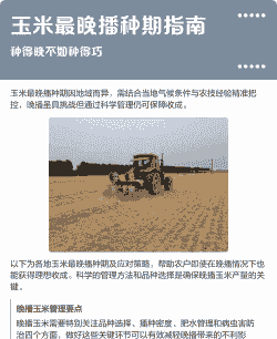 晚播玉米种植方法