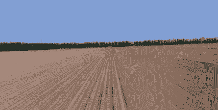 新疆地区玉米种植方式