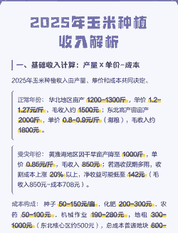 玉米种植收入与成本