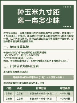 玉米种植行距多少最好